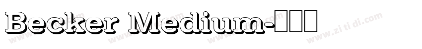 Becker Medium字体转换 Becker Medium字体转换
